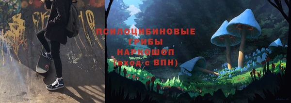 эйфоретик Баксан