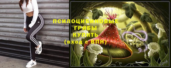 эйфоретик Баксан