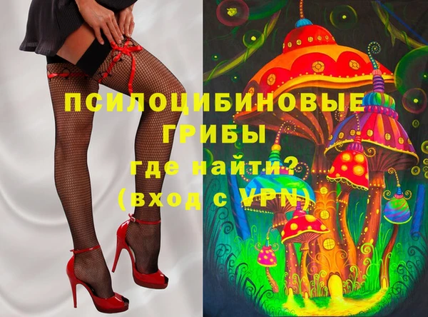 эйфоретик Баксан