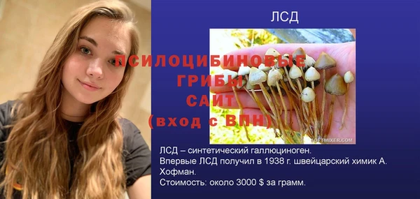 эйфоретик Баксан
