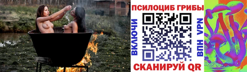Псилоцибиновые грибы Psilocybine cubensis  Вилюйск 